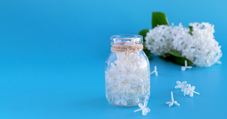 A bottle of fragrant oil made from white lilac flowers. Aromatherapy. Cosmetics. copyspase