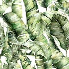 Watercolor seamless pattern with jungle banana leaves. Hand painted exotic leaves and branches isolated on white background. Floral tropical illustration for design, print, fabric or background. - 359282162