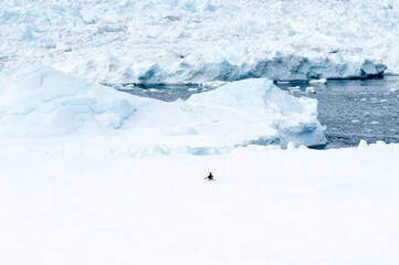 Fototapeta na wymiar Ice in Antarctica