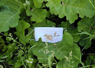 Composition (abstraction): bright green summer vegetation and a carelessly thrown medical mask with...