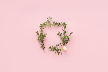 Frame of green shoots and a rose flower on a pink background.