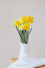 Fresh yellow daffodil flowers in full bloom in vase.