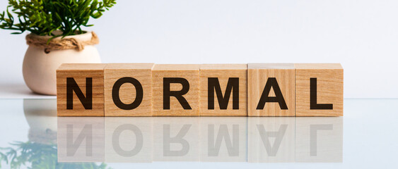 Normal is a word written in black letters on wooden cubes located on a white mirror surface. The world is changing to balance it into new normal include business , economy , environment and health.