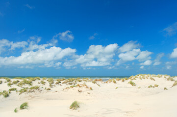 Fototapeta na wymiar Landscape empty beach with dunes