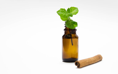 mint in a glass. cinnamon lies next to a white background