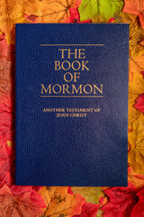 The Book of Mormon in a Background of Leaves. 