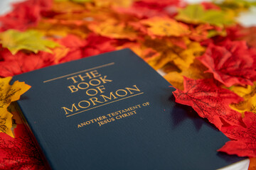 The Book of Mormon in a Background of Leaves.  - obrazy, fototapety, plakaty