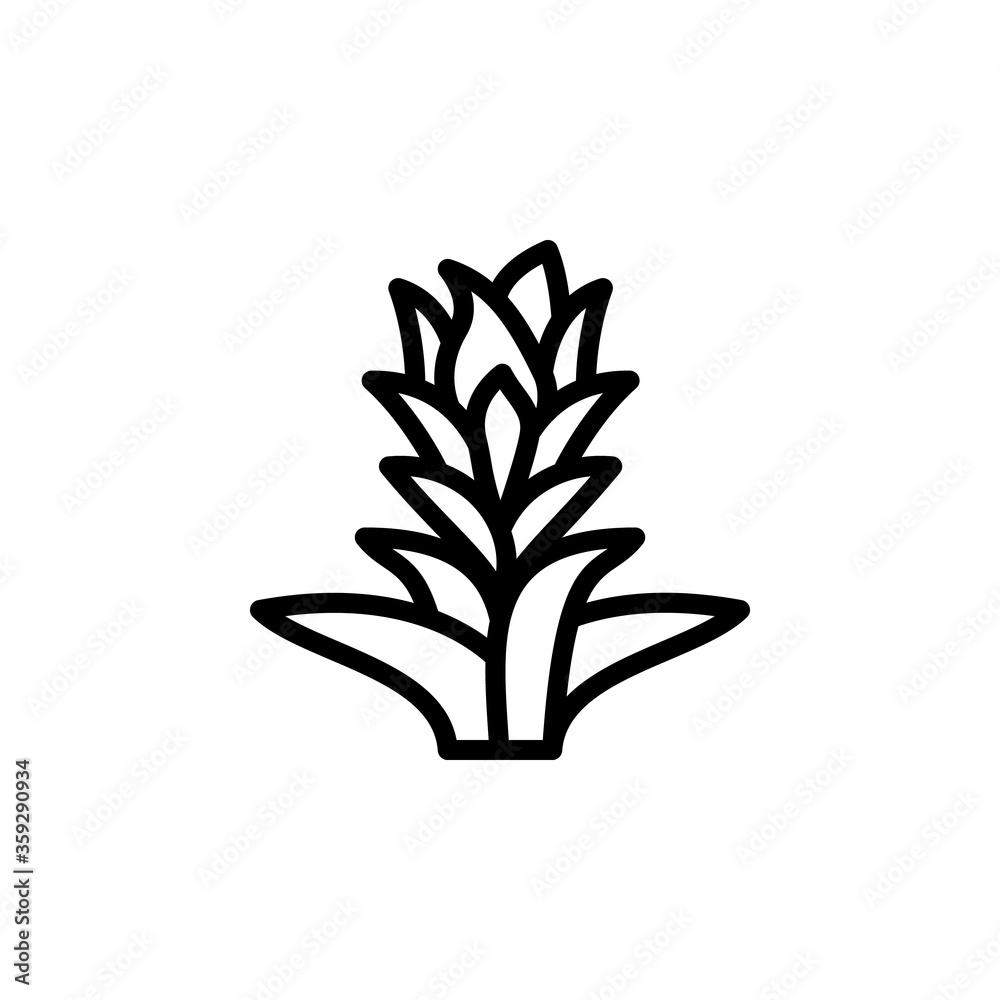 Poster bromeliaceae leaf icon. simple line, outline vector elements of botanicals icons for ui and ux, webs