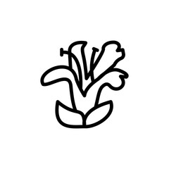 Acanthaceae white flower icon. Simple line, outline vector elements of botanicals icons for ui and ux, website or mobile application