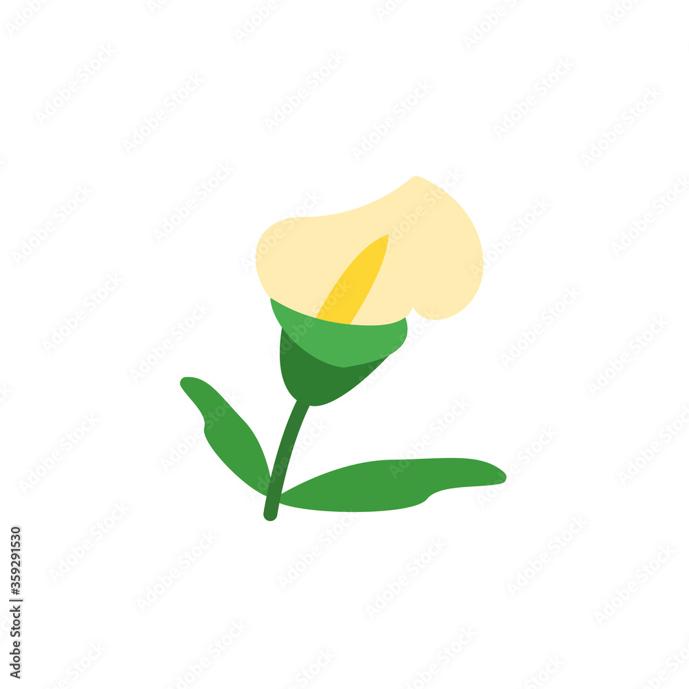 Poster calla flower icon. simple color vector elements of botanicals icons for ui and ux, website or mobile