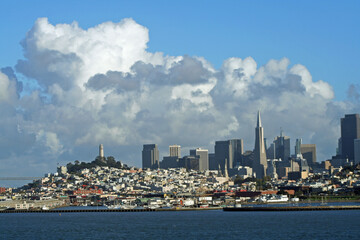 Fototapeta premium San Francisco Skyline (CA 01963)