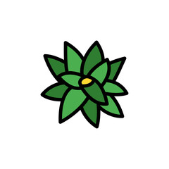 Bromeliaceae leaf icon. Simple color with outline vector elements of healing plant icons for ui and ux, website or mobile application