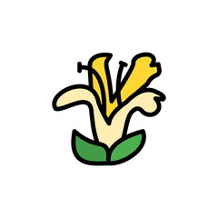 Acanthaceae white flower icon. Simple color with outline vector elements of healing plant icons for ui and ux, website or mobile application