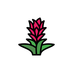 Bromeliaceae leaf icon. Simple color with outline vector elements of healing plant icons for ui and ux, website or mobile application