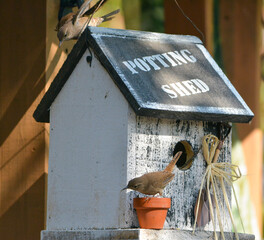 Building Their New Home