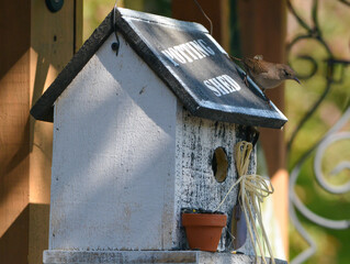 Building Their New Home