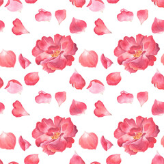 Seamless pattern with big bright red rose and rose petals. Rose tribute! Passionate and spectacular watercolor artwork. 