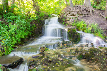 Small creek waterfall in the forest