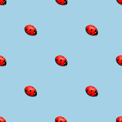 ladybug or ladybird seamless pattern isolated over blue background. minimal summer concept.