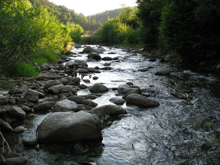 Slow stream full of stones running through valley full of greenery