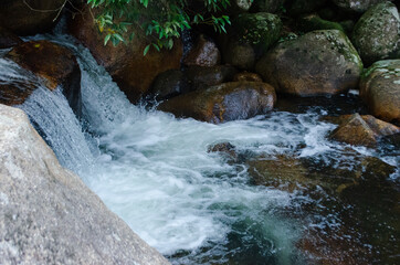 river in the forest