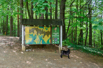 Fruska Gora, Serbia - June 09, 2020: Mountain tags on Mount Fruska Gora written in Serbian