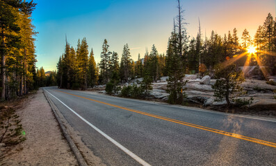Obraz premium Road Through the Forest Sunset, Yosemite National Park, California