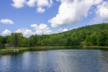 summer landscape with lake