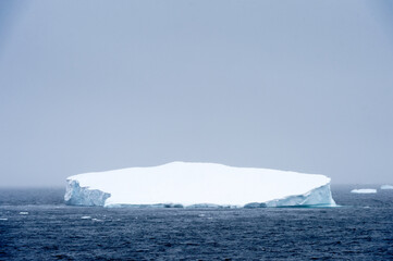Fototapeta na wymiar Huge iceberg in Antarctica