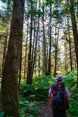 Obraz premium hiking in the woods