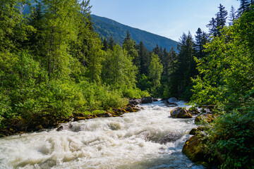 Beautiful wilderness with white water rapids