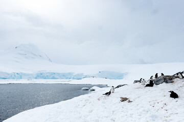 Panorama of the ice formations in Antarctica