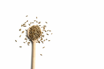 Wooden spoon with brown grains of wheat spelled on pure white isolated background on left. Cereal seeds scattered on table around spoon. Oats, rye barley close-up. Top view. Free blank space for text