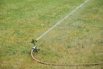 Fototapeta na wymiar The spray of the sprinklers on the field