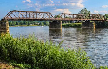 bridge over river in the forest