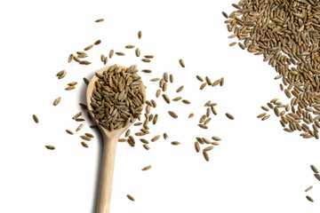 Wooden spoon with brown grains of wheat on pure white isolated background on left side. Bunch of cereal seeds in upper corner and scattered on table around spoon. Oats rye barley close-up. Top view