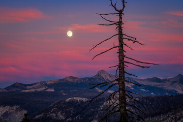Obraz premium Twilight Moonrise on the Mountains, Yosemite National Park, California