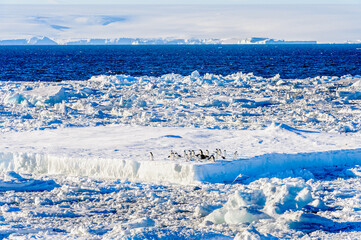 Fototapeta na wymiar Huge ice pieces float in Antarctica