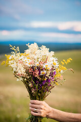 bouquet of wild flowers in woman hands