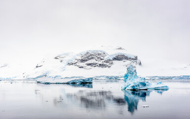 Neko Harbor, Antarcica