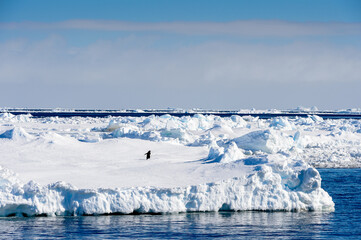 Beautiful nature of ANtarctica