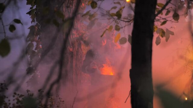 A forest witch brews a potion holding a Voodoo doll