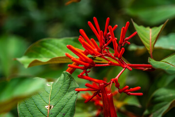 Beautiful flowers growing and blooming all over the park.