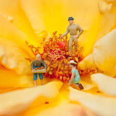 Jardineros en miniatura trabajando en una rosa amarilla