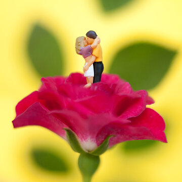 Pareja de enamorados en miniatura bes&aacute;ndose dentro de una rosa