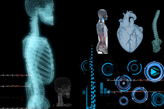 medical Interface, analysis of Human Male Anatomy Scan on Futuristic Touch Screen Interface showing bones, organs. Concept: In the Near Future of Medicine and Healthcare 3D render