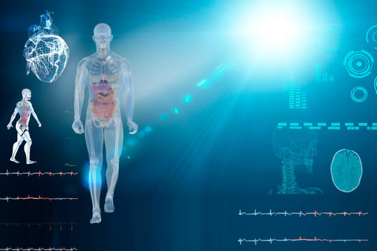 medical Interface, analysis of Human Male Anatomy Scan on Futuristic Touch Screen Interface showing bones, organs. Concept: In the Near Future of Medicine and Healthcare 3D render