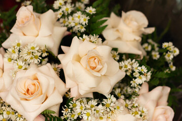 Buquet of white roses closeup