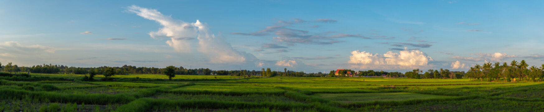 Panorama, green fields and temples in the fields at sunset