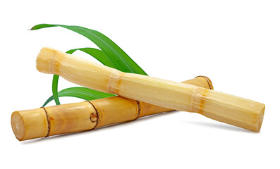 Fresh sugar cane isolated on white background
